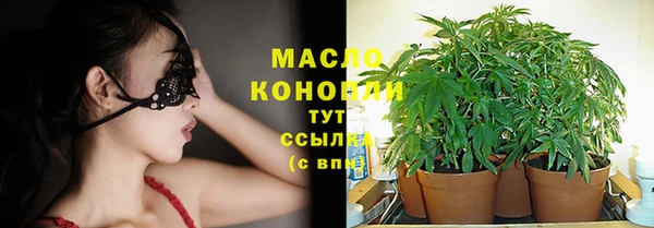 тгк Алзамай