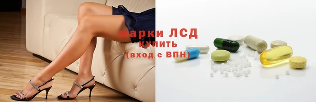 тгк Алзамай