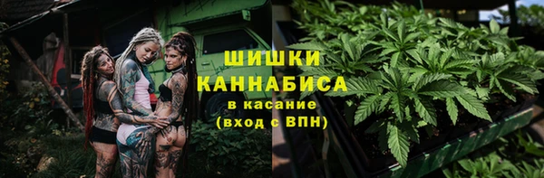 спайс Алексин
