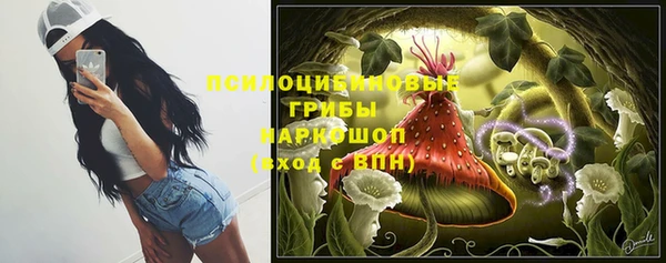спайс Алексин